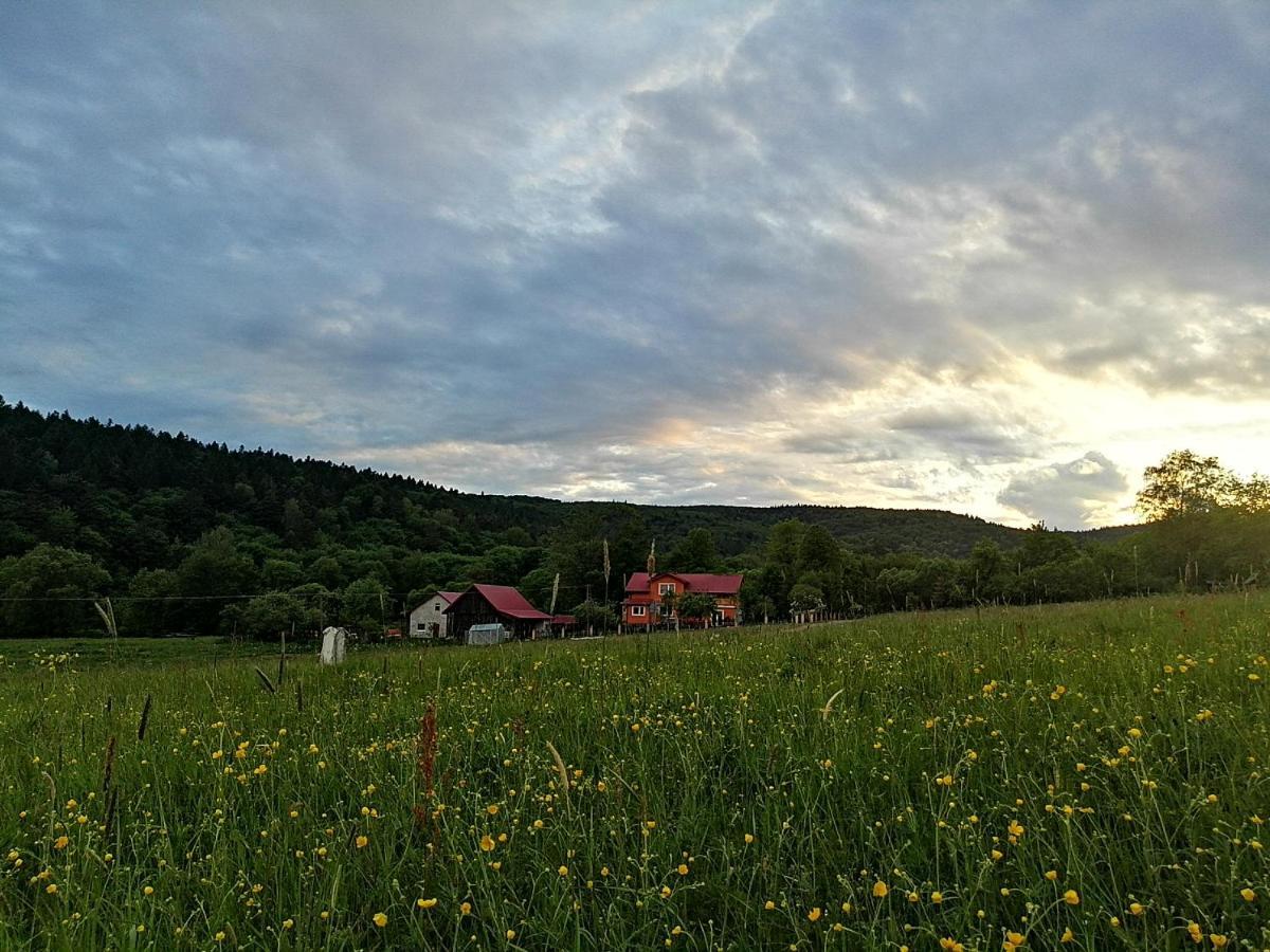 Rzepedka Villa Rzepedz ภายนอก รูปภาพ
