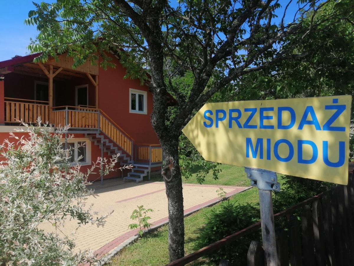 Rzepedka Villa Rzepedz ภายนอก รูปภาพ