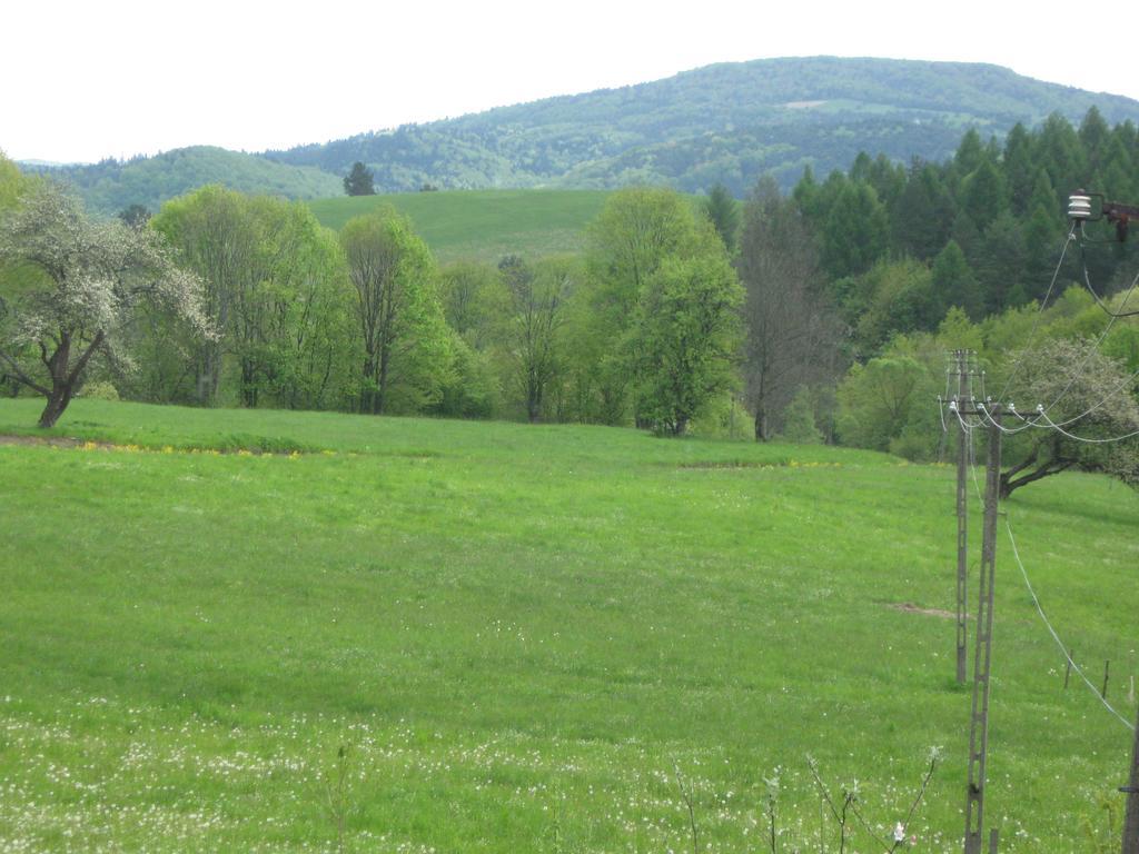 Rzepedka Villa Rzepedz ภายนอก รูปภาพ