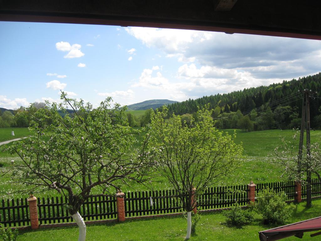 Rzepedka Villa Rzepedz ภายนอก รูปภาพ