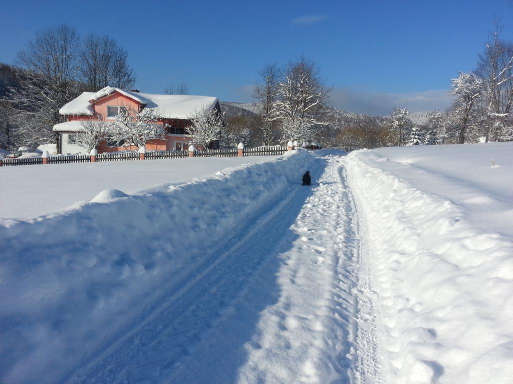 Rzepedka Villa Rzepedz ภายนอก รูปภาพ