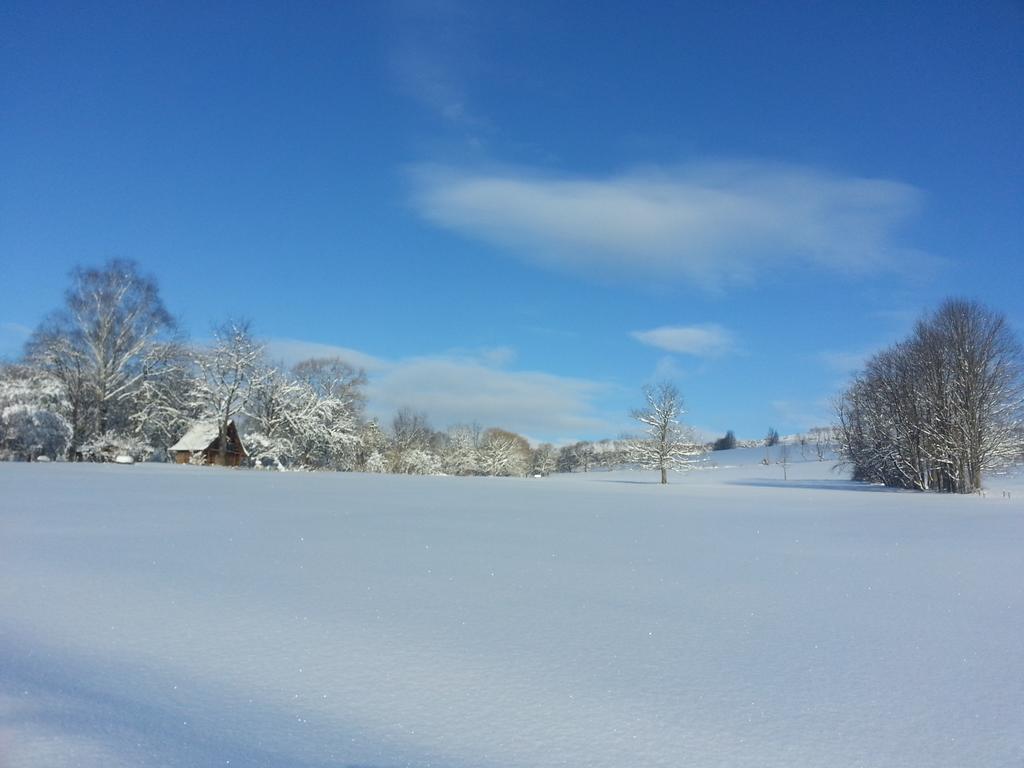 Rzepedka Villa Rzepedz ภายนอก รูปภาพ